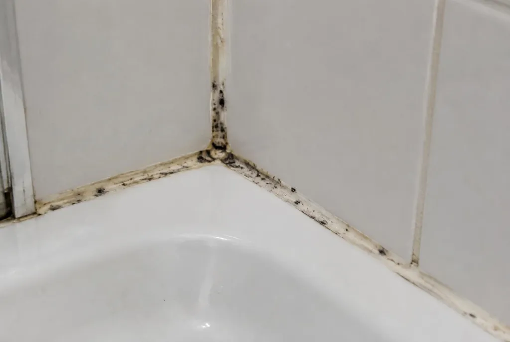 Kitbedrijf Mijdrecht – beschimmelde kitranden